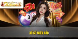 Xổ Số Miền Bắc | Cách Chơi, Chốt Số Và Nhận Thưởng